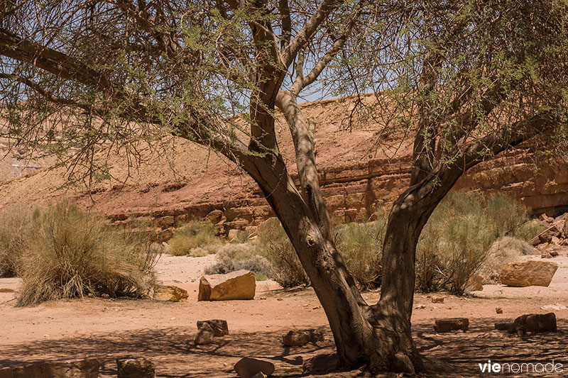 Sentiers de randonnée dans le cratère Maktesh Ramon