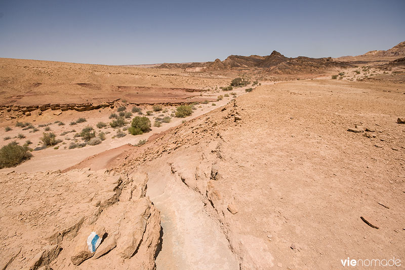 Marcher dans le désert du Néguev, Israël