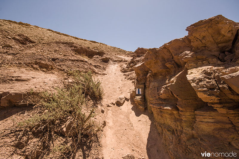 Marcher dans le désert du Néguev, Israël