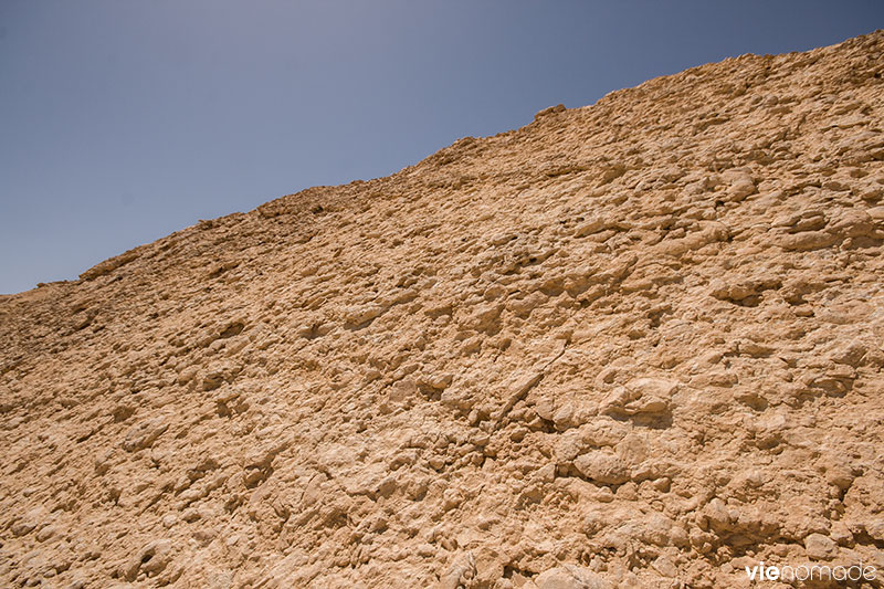 Mur d'ammonites dans le Néguev, Israël