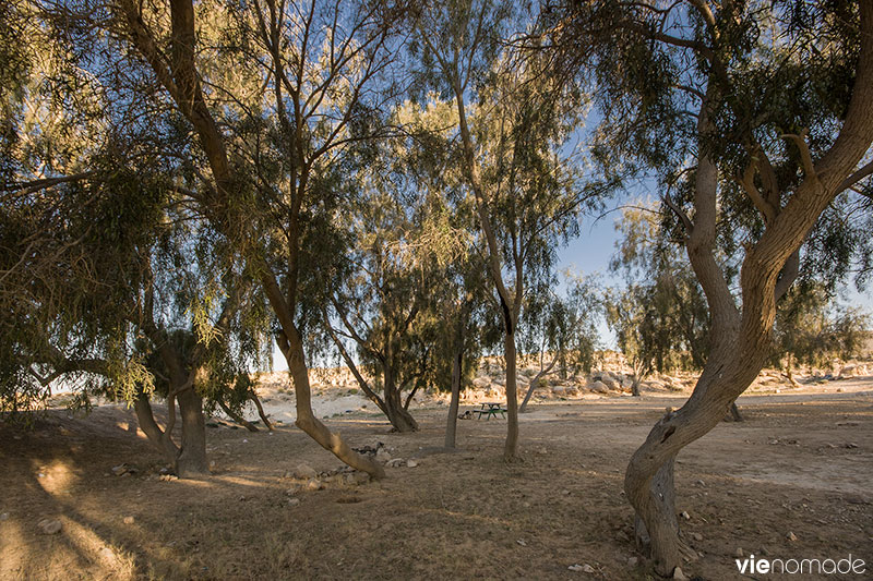 Road trip en Israël, vers Mitzpe Ramon