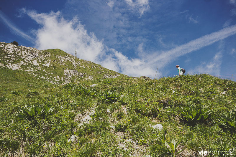 Randonnée aux Rochers de Naye, Suisse