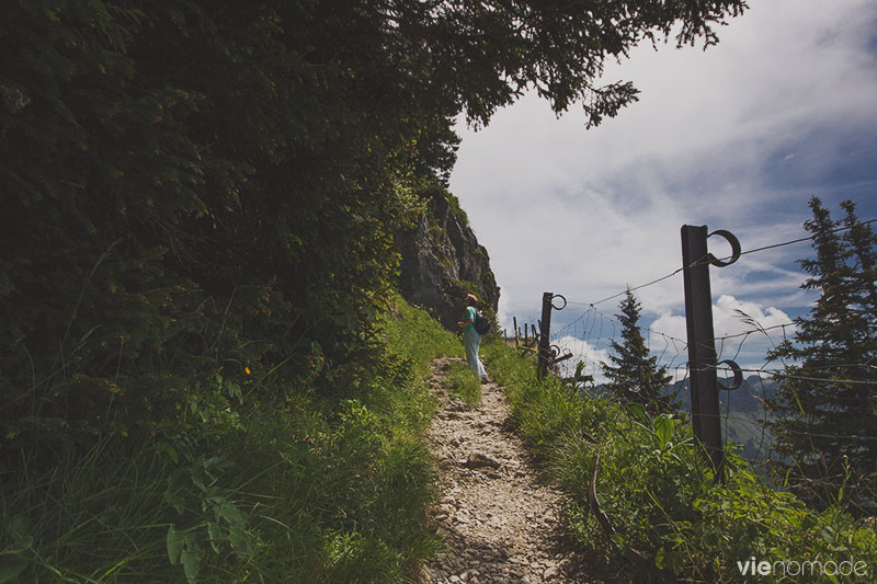 Randonnée aux Rochers de Naye, Suisse