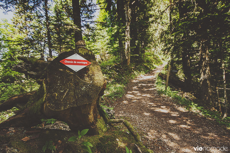 Randonnée aux Rochers de Naye, Suisse