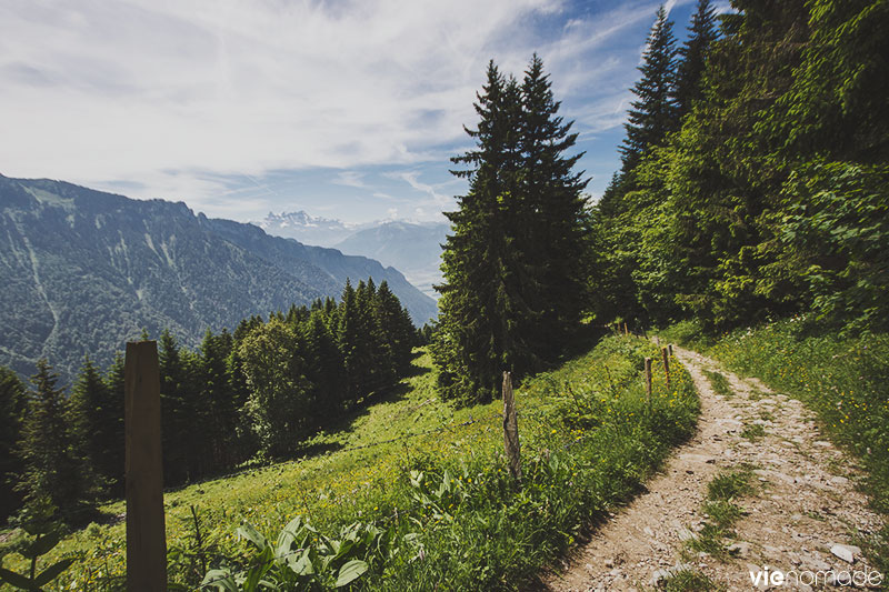 Randonnée aux Rochers de Naye, Suisse