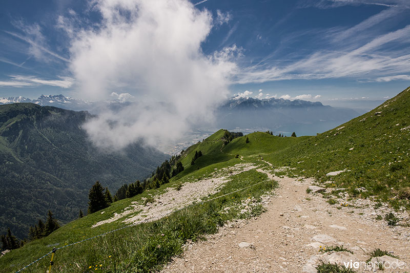 Randonnée aux Rochers de Naye, Suisse