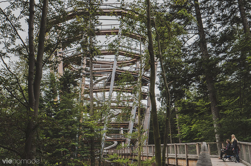 Baumwipfelpfad, la tour au-dessus de la Forêt-Noire