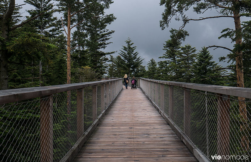 Baumwipfelpfad, le sentier sur la canopée, à Bad Wildbad