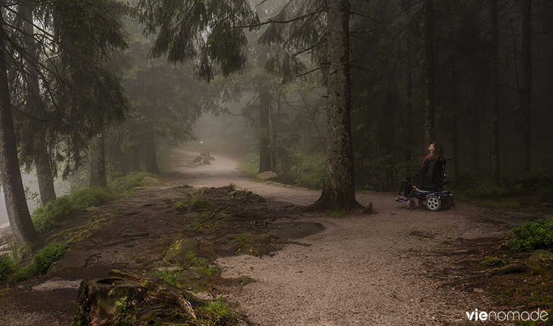 Forêt-Noire accessible au Mummelsee