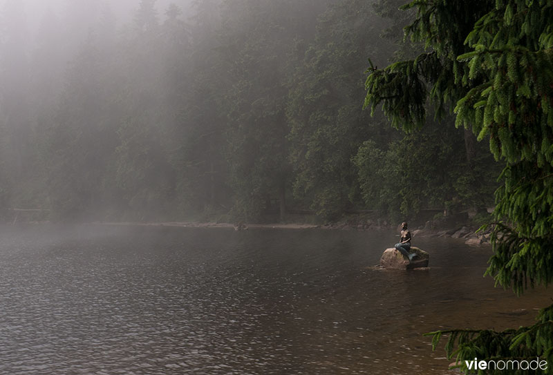 La sirène du Mummelsee