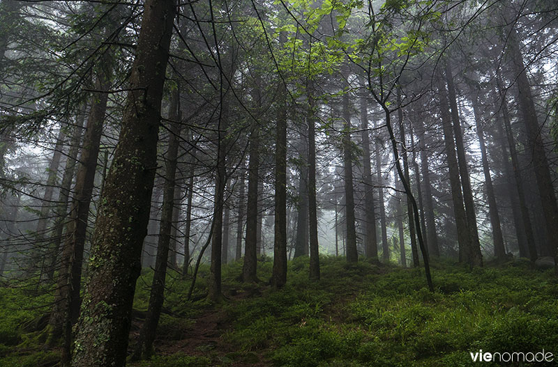 Balade en Forêt-Noire, au Mummelsee