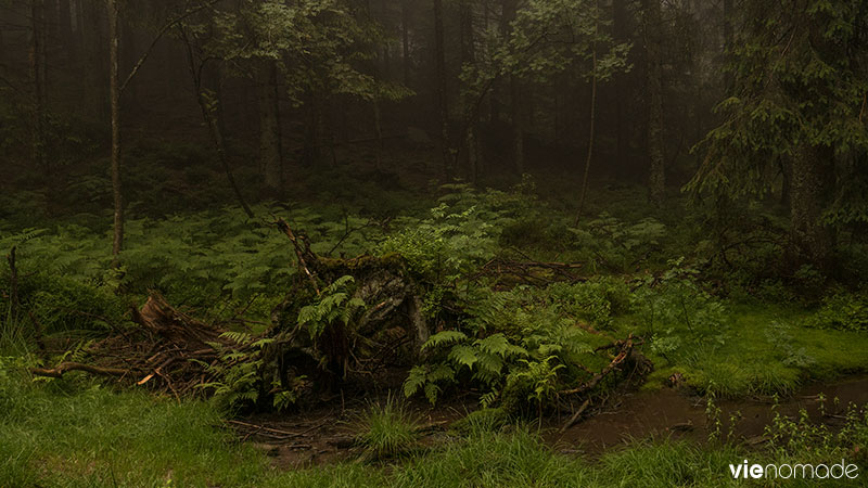 Balade en Forêt-Noire, au Mummelsee