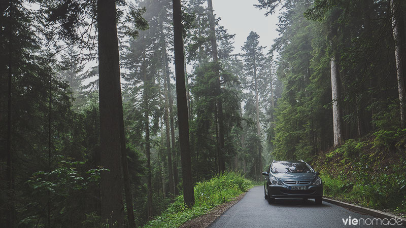 Road trip en Forêt-Noire