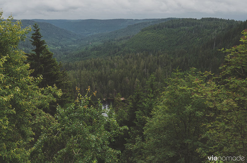 Randonnée en Forêt-Noire