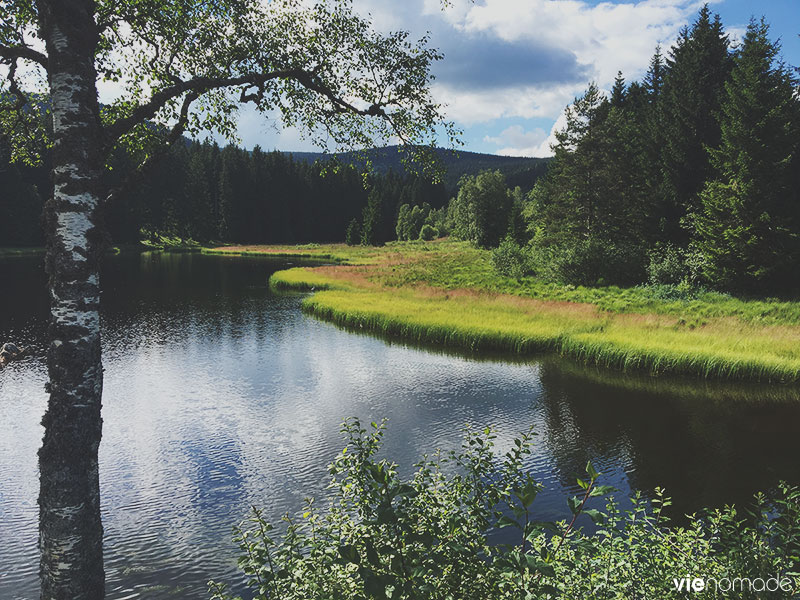 Randonnée autour du Schluchsee