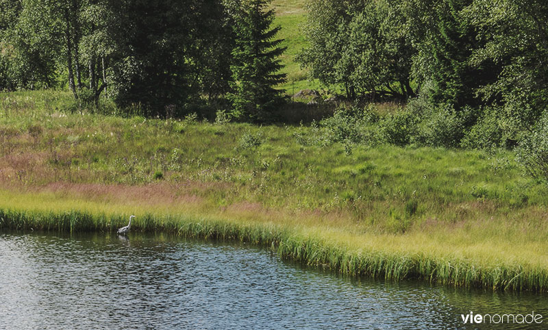 Randonnée autour du Schluchsee