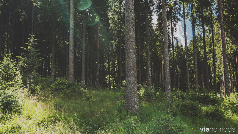 Balade autour du Schluchsee, Forêt-Noire