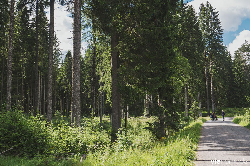 Balade autour du Schluchsee, Forêt-Noire