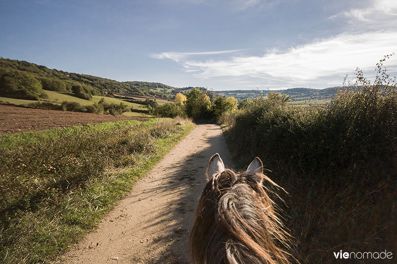 Balade à cheval en Auvergne