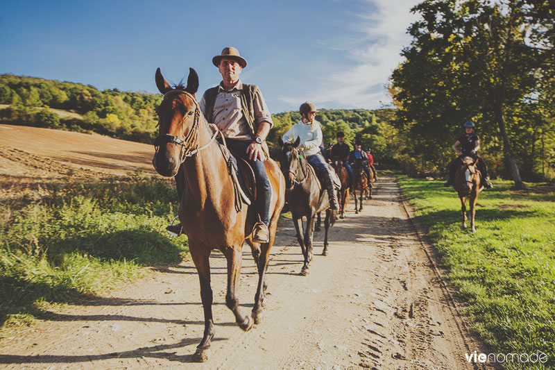 Balade à cheval en Auvergne