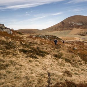 Que faire en Auvergne? Un itinéraire 100% nature, entre les volcans