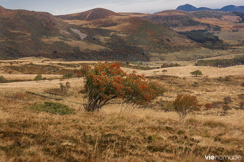 Randonnée dans la Vallée de Chaudefour