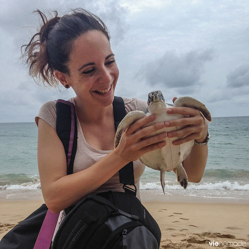 Relâcher les tortues marines en Thaïlande