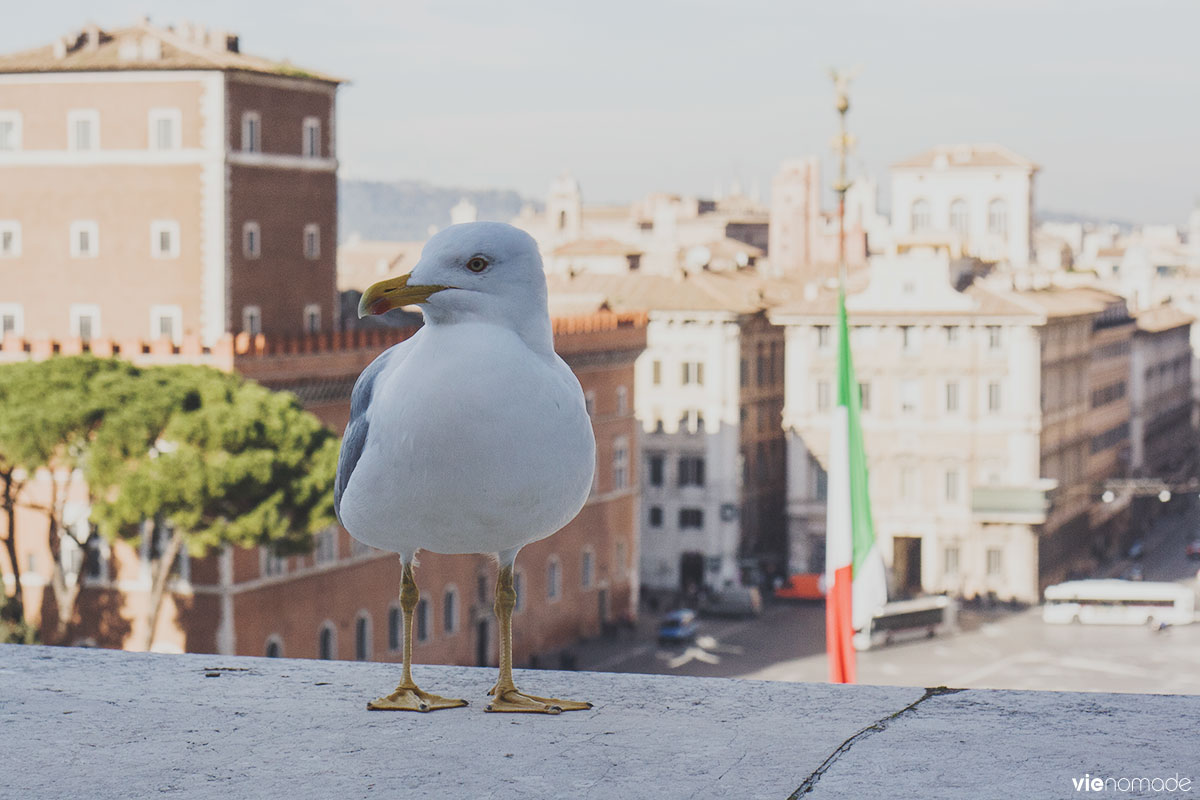 Milite Ignoto à Rome