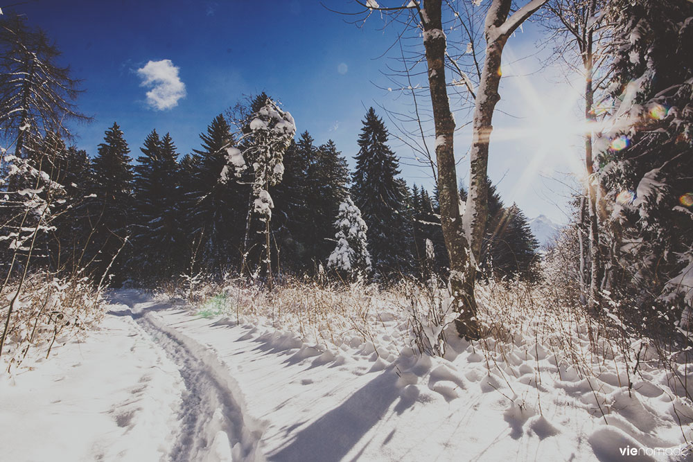 Gryon sous la neige