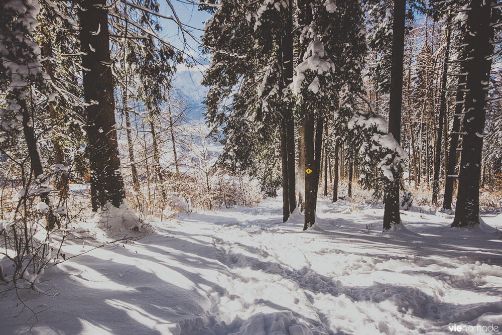 Marcher dans la neige à Gryon, Suisse