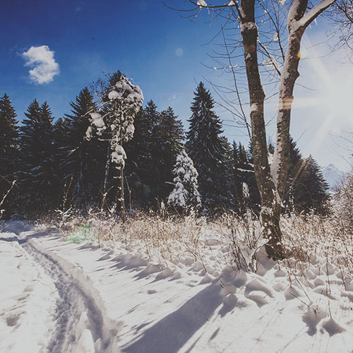 Une randonnée dans la neige, à Gryon, Suisse