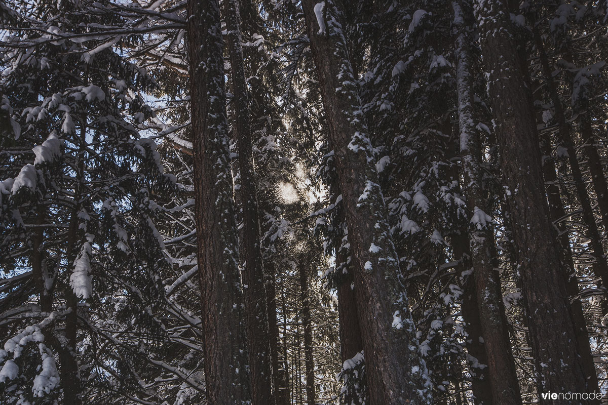 Balade dans la neige, en Suisse