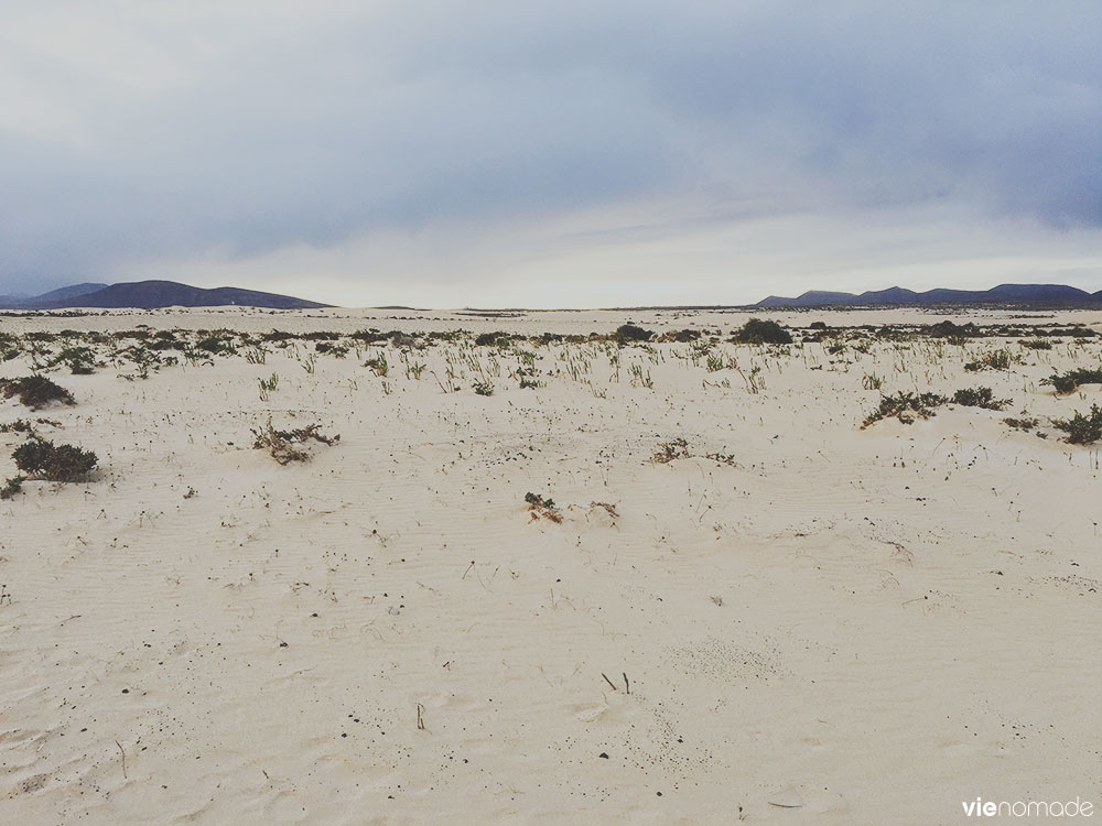 Dune de Corralejo