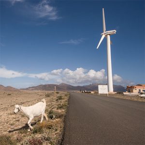 Road trip à Fuerteventura, Îles Canaries