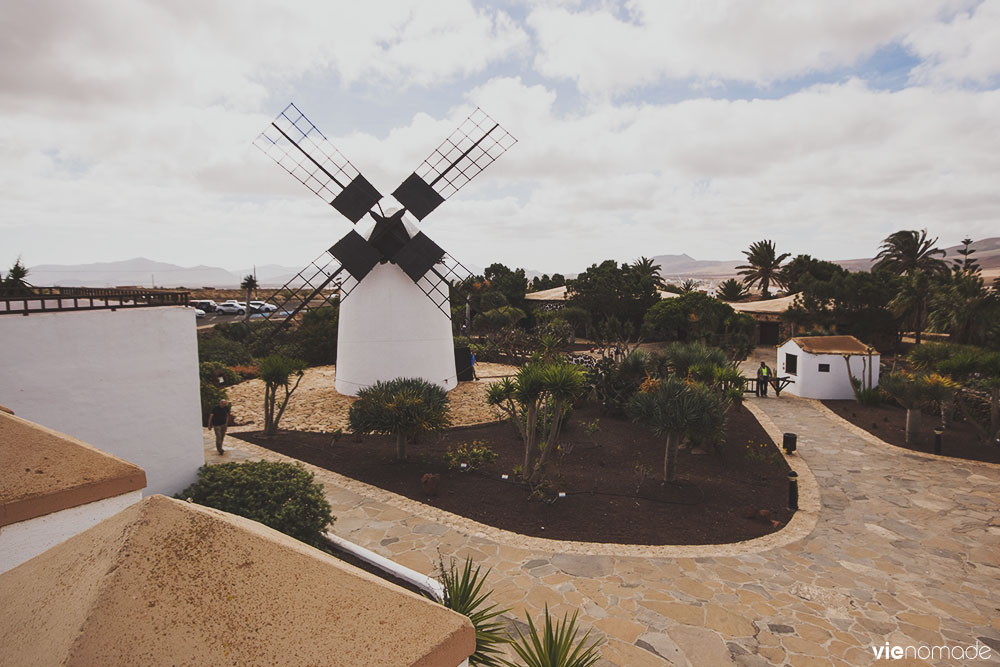 Musée du fromage à Antigua, Fuerteventura