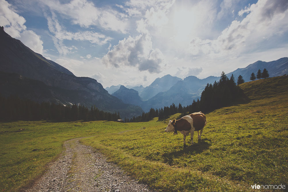 Balade en Suisse: région d'oeschinen