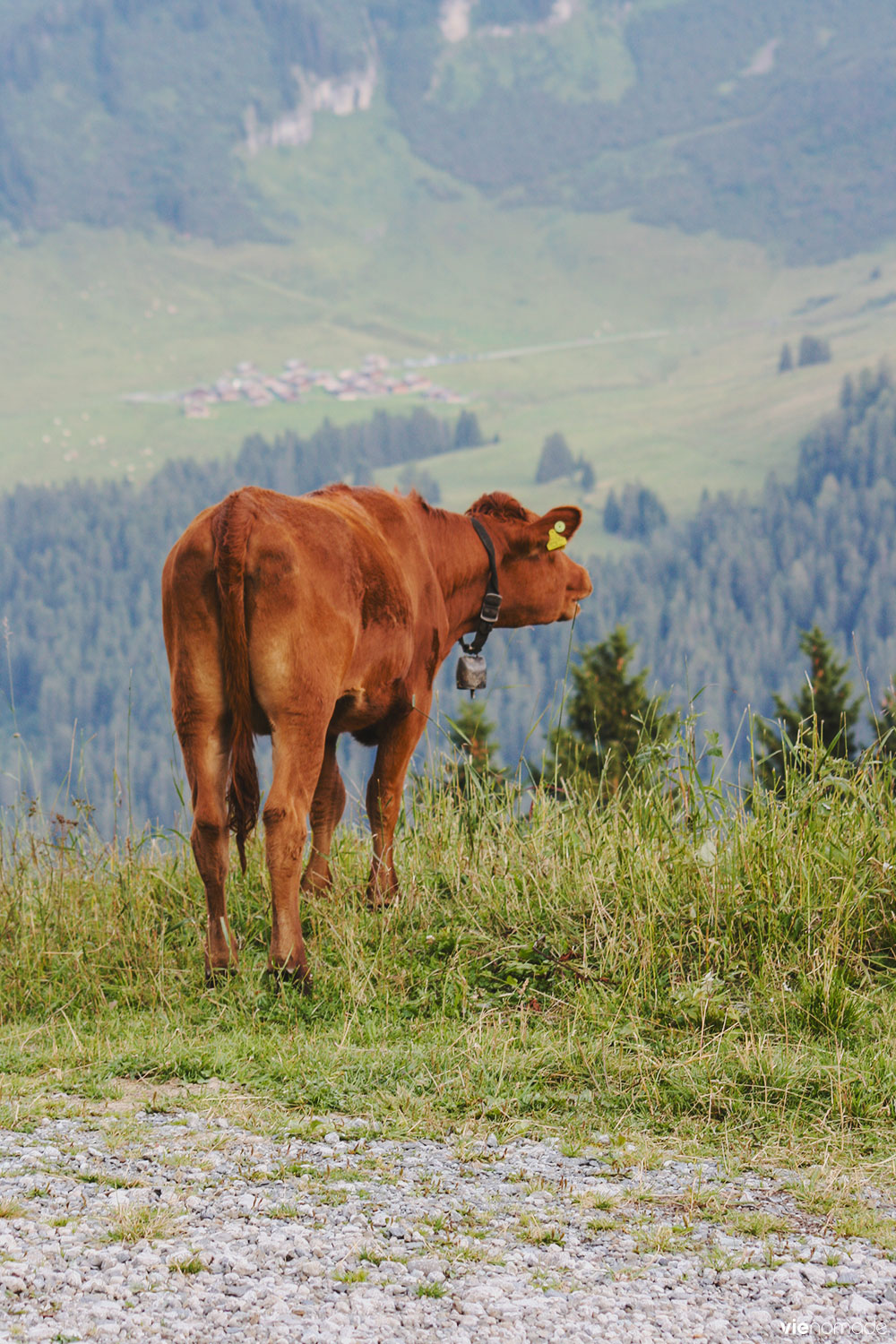 Randonnée à Ensex, Suisse