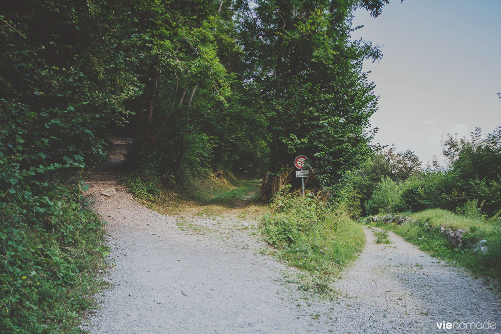 Randonnée au Lac Taney, Suisse