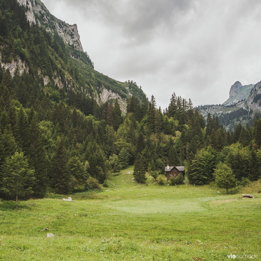 Randonnée au Lac Taney, Suisse