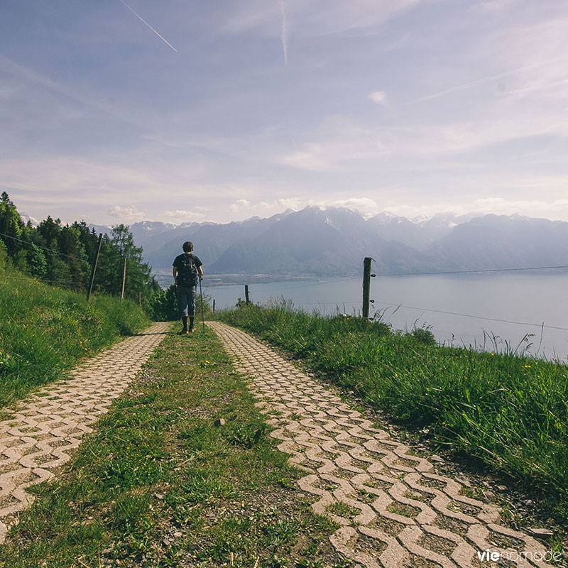 Randonnée and la région de Montreux Riviera