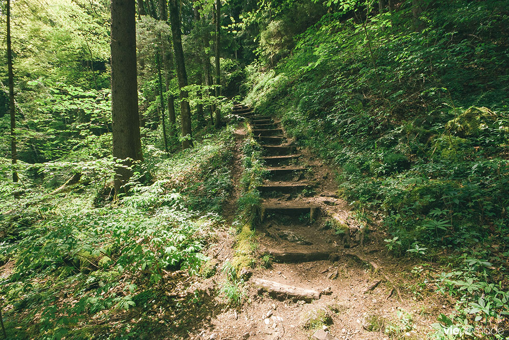 Gorges du Chauderon, randonnée vers Montreux