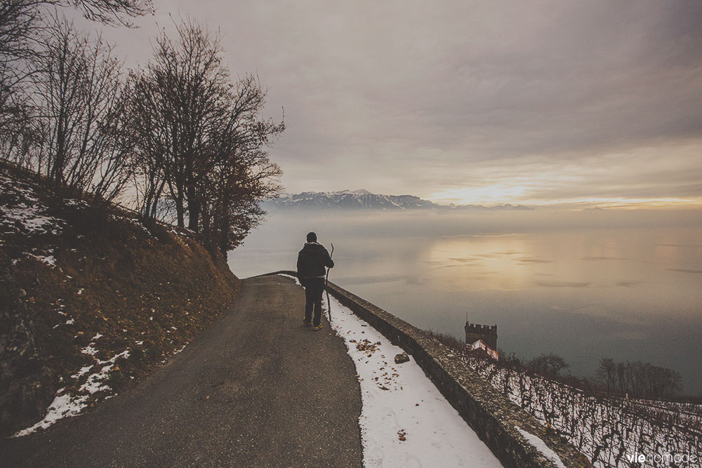 Randonnée dans le Lavaux: Puidoux-Chexbres