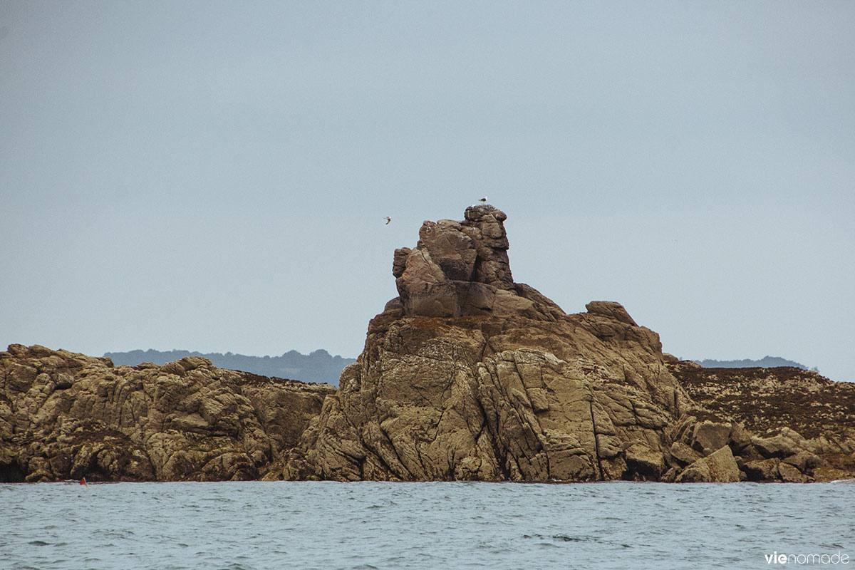 Croisière dans l'archipel des Ebihens