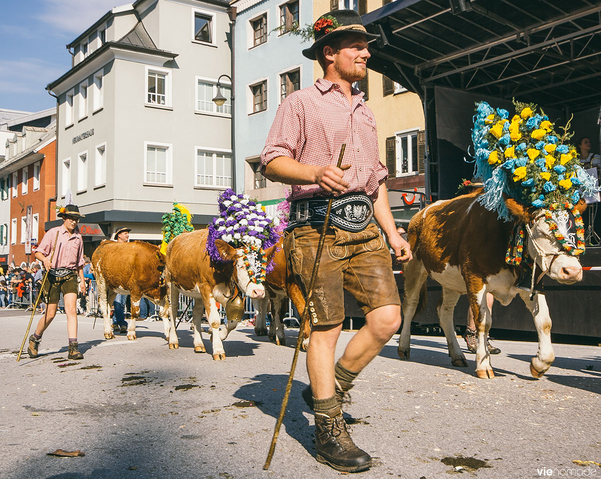 L'almabtrieb, la descente des vaches des alpages