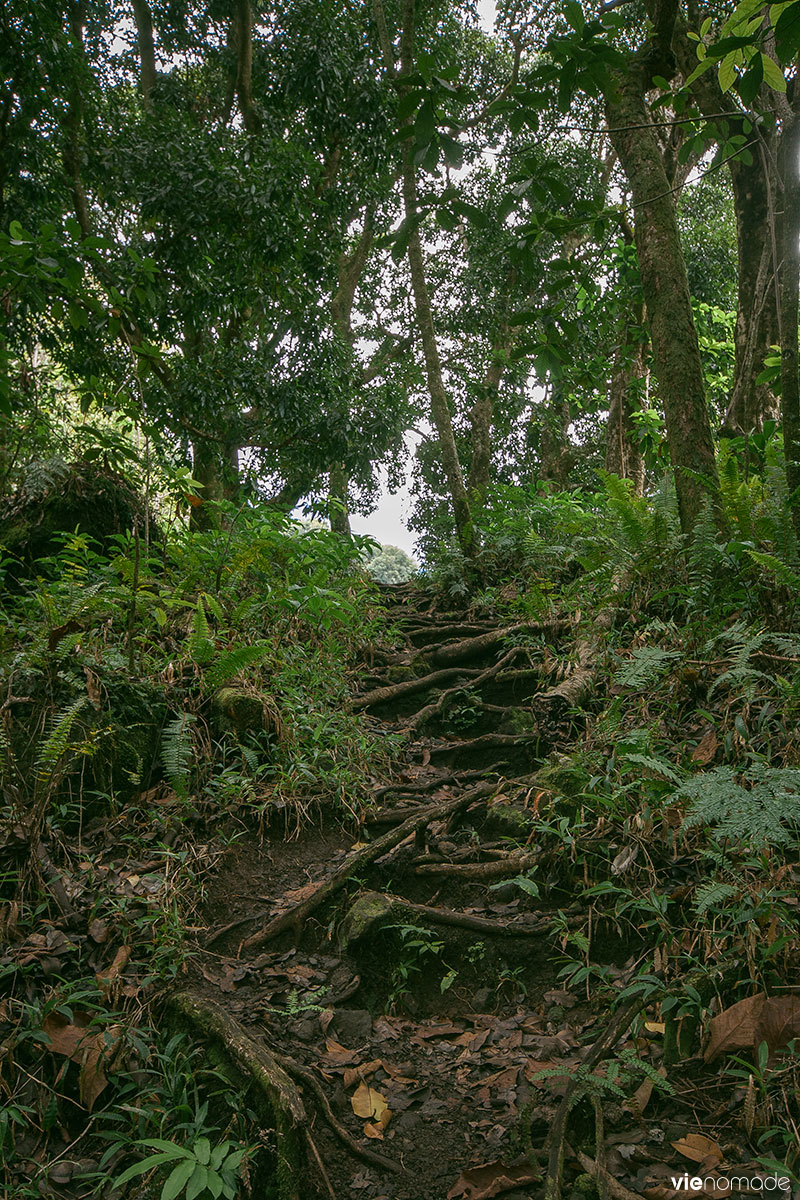 Cascade de la Fautaua, Tahiti