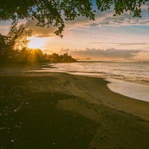 Un voyage à Tahiti et Moorea