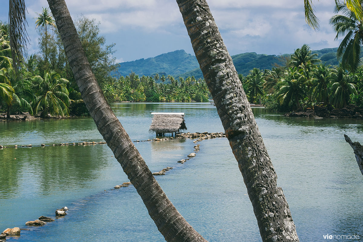 Piège à poissons traditionnel à Huahine, Polynésie Française