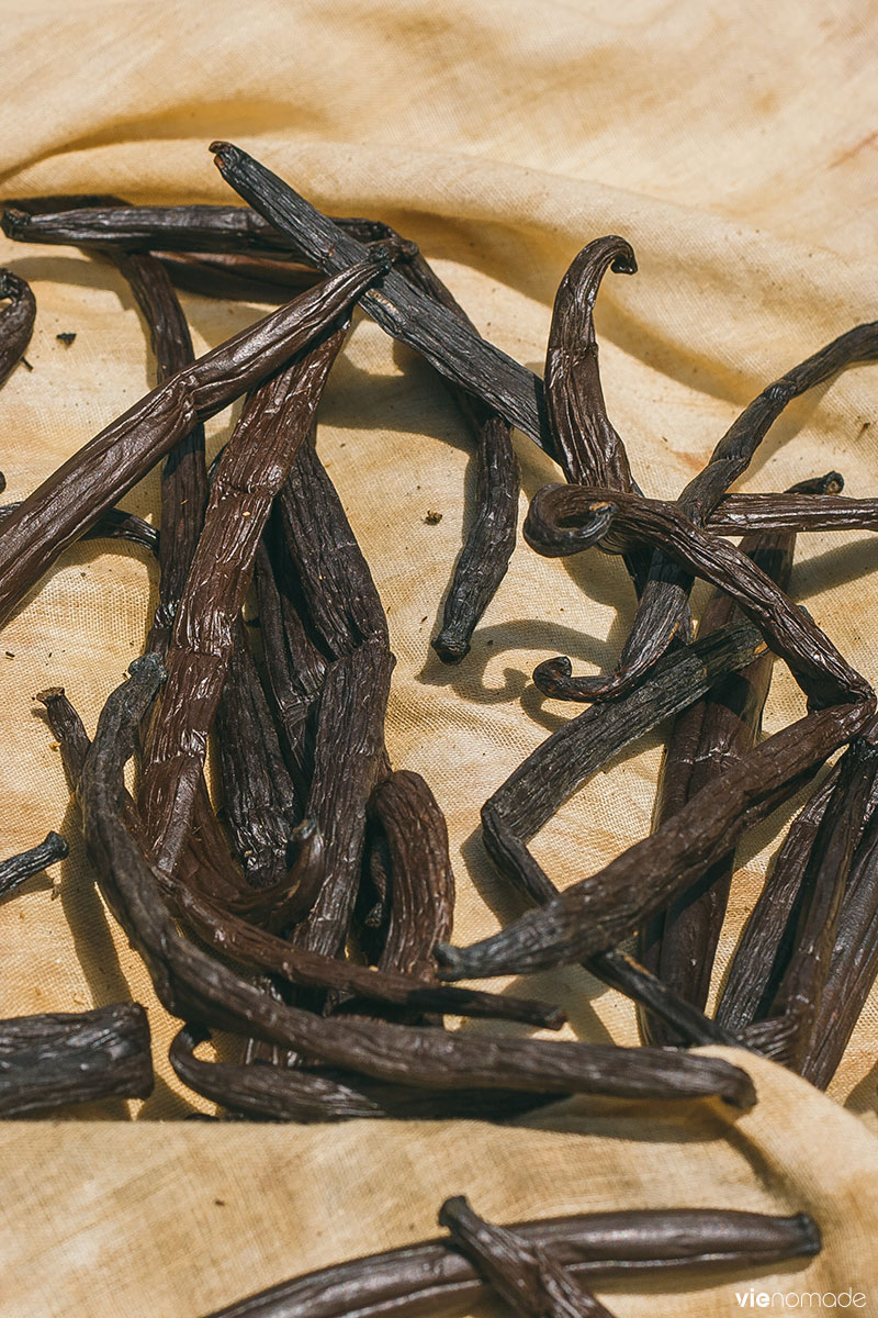 La vanille de Huahine, or noir de Polynésie