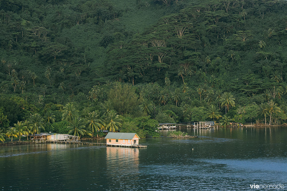 Raiatea, Polynésie Française