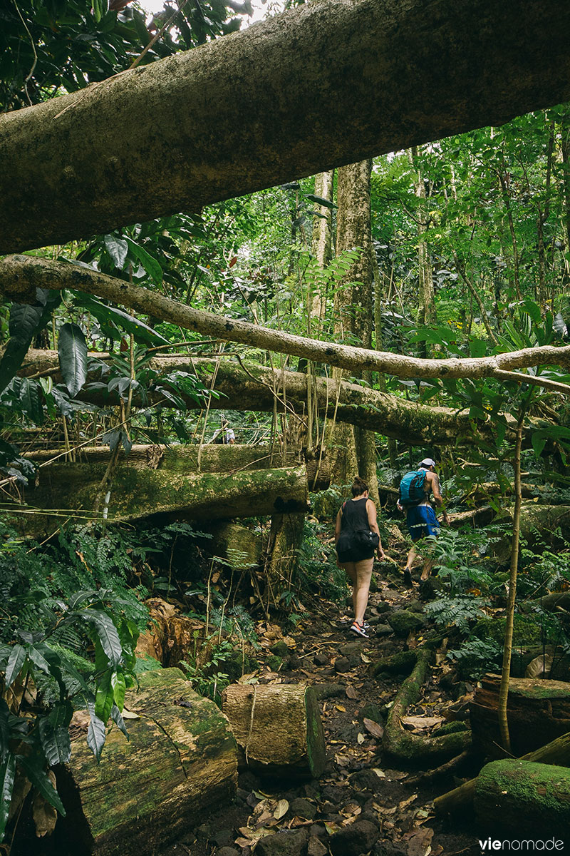 Pont de la Fachoda, Tahiti